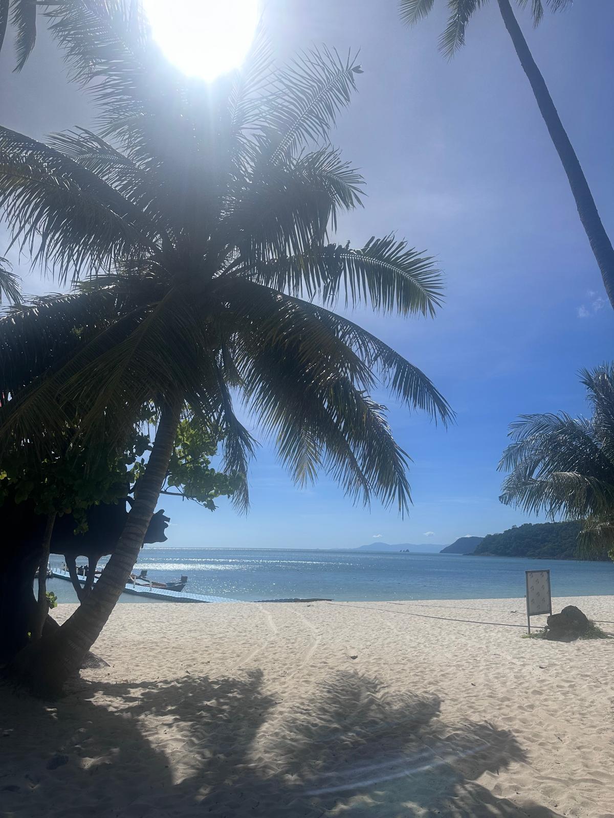 Sanft wiegende Palmen, feiner weißer Sand und das glitzernde, azurblaue Meer erwarten Sie an diesem unberührten Traumstrand. Lassen Sie den Alltag hinter sich und spüren Sie die warme tropische Sonne auf Ihrer Haut. Ihr persönliches Inselparadies wartet bereits auf Sie.