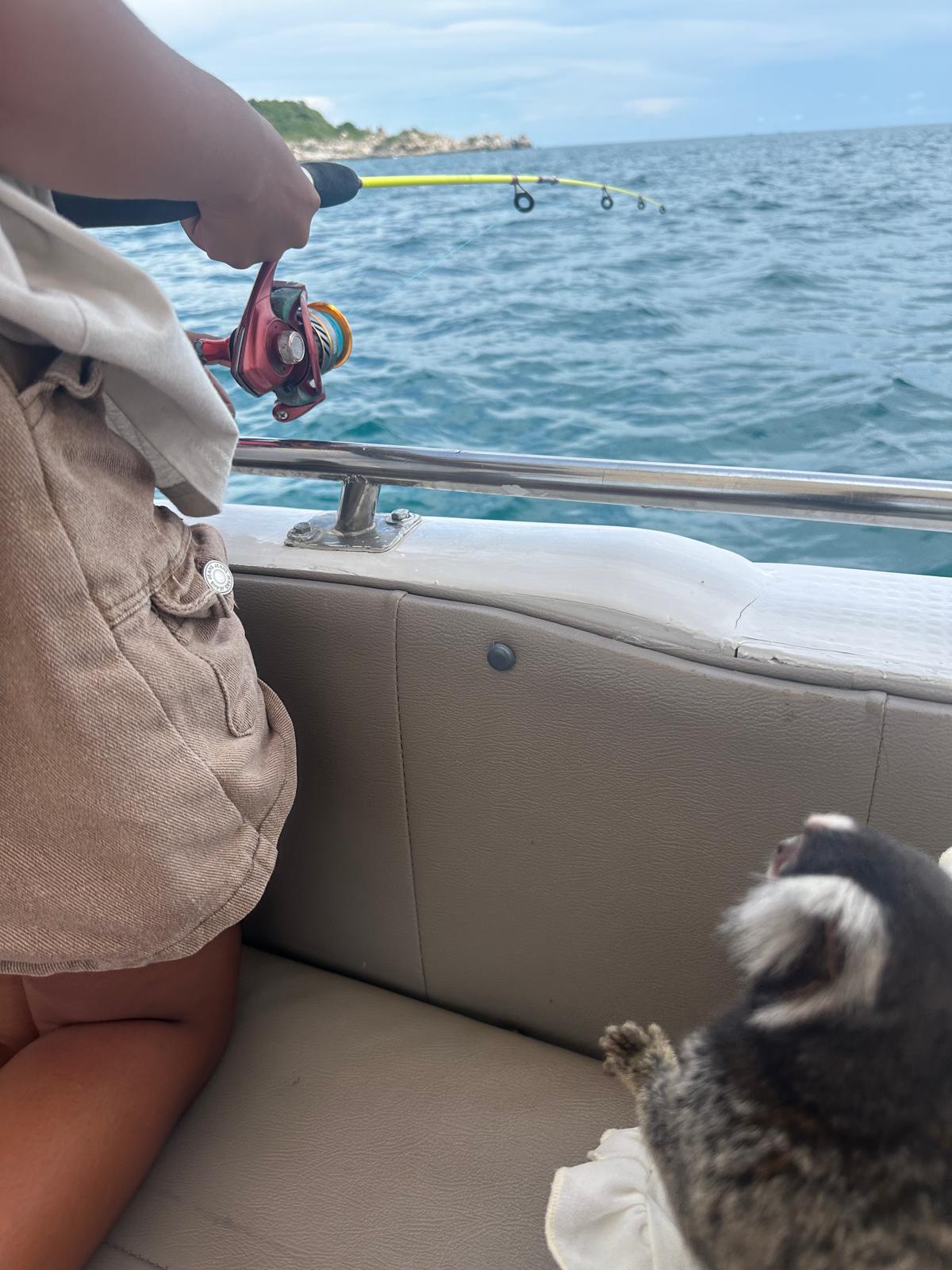 Gleiten Sie auf kristallblauem Wasser dahin und erleben Sie unvergessliche Momente beim Angeln an Bord unserer komfortablen Boote – oft in tierisch neugieriger Gesellschaft. Unsere maßgeschneiderten Bootstouren verbinden Abenteuer auf dem Meer mit einzigartigen Naturbegegnungen, die Sie so schnell nicht vergessen werden. Buchen Sie Ihr persönliches Meeresabenteuer und lassen Sie den Alltag hinter sich.