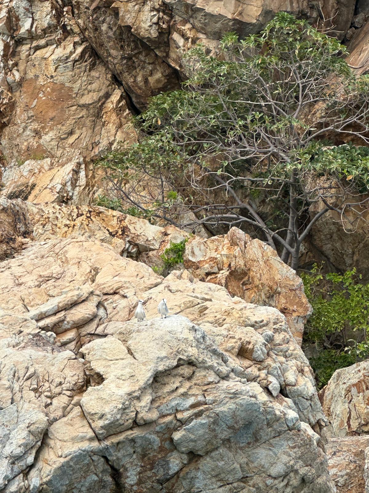 Schroffe Felsen und unberührte Natur